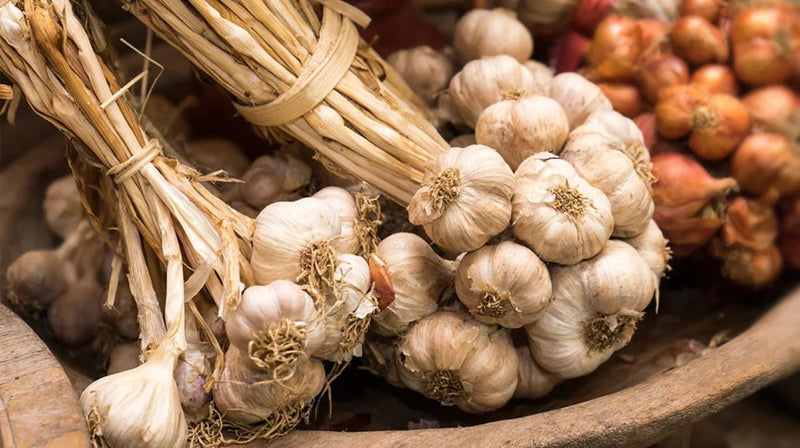 Load image into Gallery viewer, Rajah Spices Ground Spices Garlic Powder
